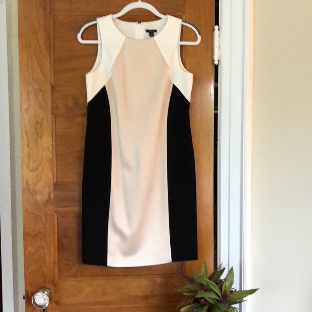 Ann Taylor Petite Color Block Dress